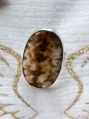 Sterling Silver Oval Fossilized Peanut Wood Statement Ring size 7.5